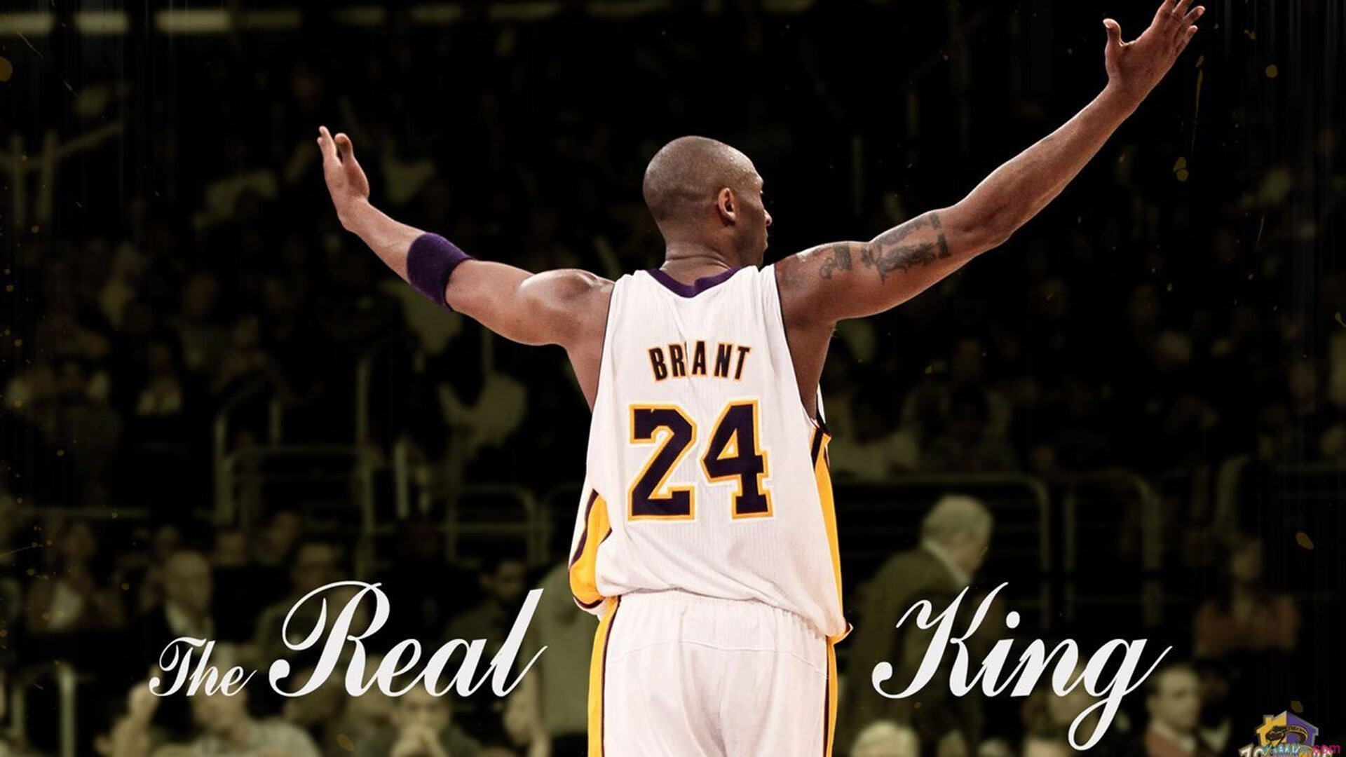 奥运关键战现统治级表现!坎特攻防一体诠释何为压制力